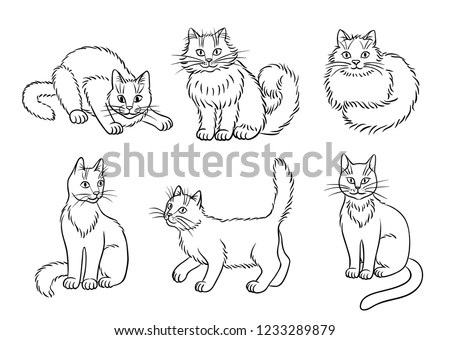 Set of 6 cats in contours - vector illustration. EPS8