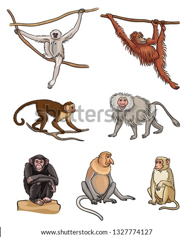 Monkey Drawing Images At Getdrawings Free Download