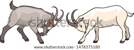 Butting goats. Vector illustration. EPS8