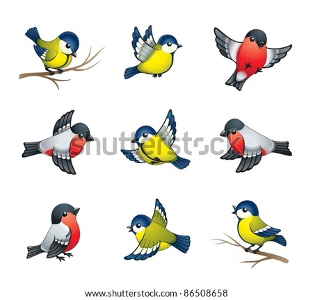 Pretty winter birds: tits and bullfinches. EPS8 vector format.