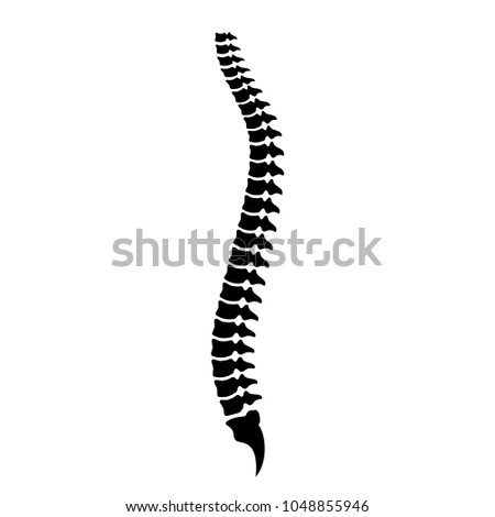 Spine cord vector icon illustration isolated on white background