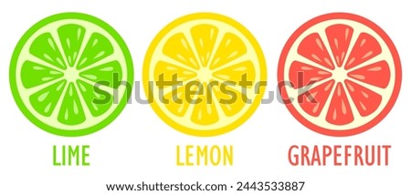 Lime lemon and grapefruit slice vector icons set isolated on white background. Flat illustration of citrus fruits cross section, summer colorful design elements