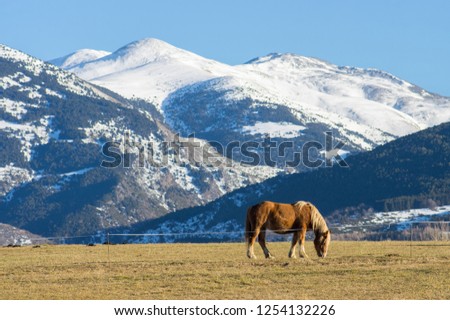 Similar – Image, Stock Photo Snowy Pyrenees and lonely house with shiny lights under sky