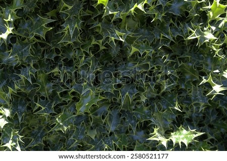 Similar – Image, Stock Photo Incidence of light.