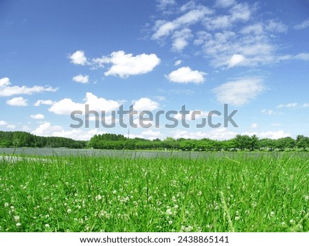 Image, Stock Photo Eine Wiese mit blühenden Kamillenblüten im Sonnenlicht.Der Fokus liegt auf einer einzelnen Blüte innerhalb der Wiese.