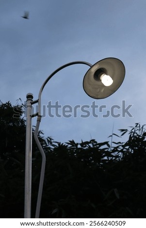 Similar – Image, Stock Photo Lamp before grey sky