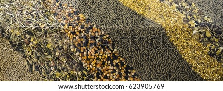 Different types of animal feed for background. Сток-фото © 