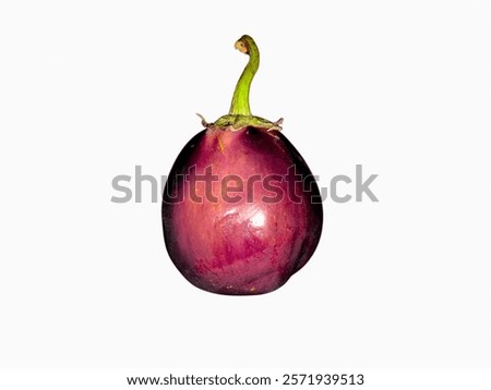 Similar – Foto Bild Aubergine auf lebhaftem violettem Hintergrund