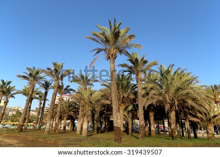 Beach.  Costa del Sol (Coast of the Sun), Malaga in Andalusia, Spain