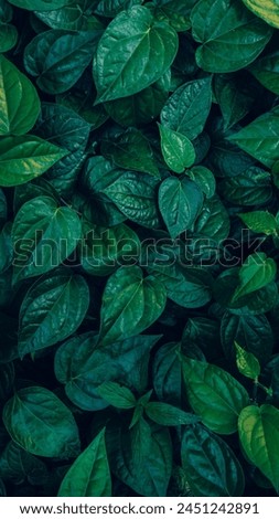 Similar – Image, Stock Photo green plant leaves textured in autumn