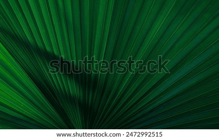 Similar – Image, Stock Photo Nature in detail