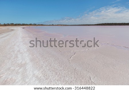 Pink salt crust. Lake Becking, Murray-Sunset National Park, Australia