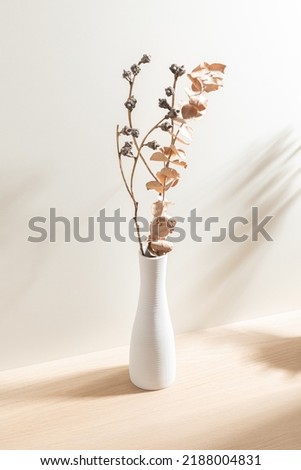 Image, Stock Photo Vase with dried flowers and shadow play