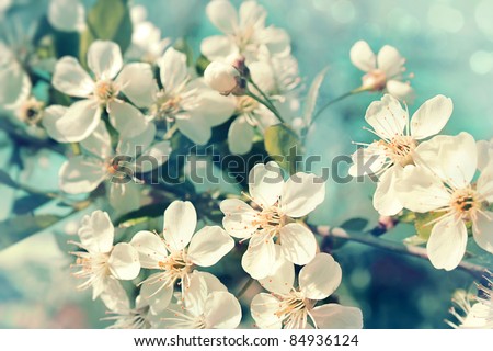 Similar – Foto Bild Bunte Blumen in klarem Wasser