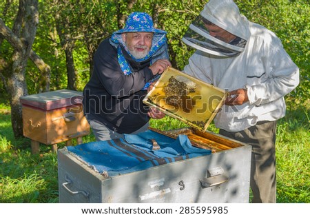 Pair of Ukrainian bee-keepers at work place doing an examination of bee families