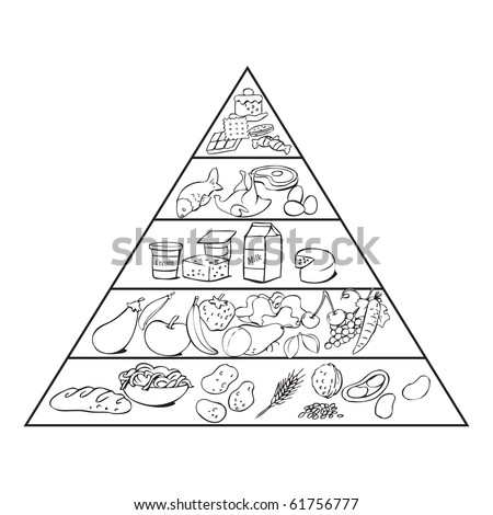 Vector Illustration, Food Pyramid Ready For Get Coloured, Education ...