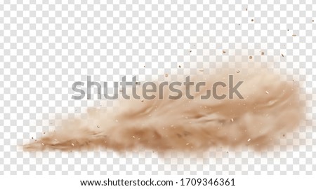 Road dust cloud with flying stones and particles isolated on transparent background. A cloud of dust sand flying from under the wheels of a fast-moving car or motorcycle. Realistic vector illustration