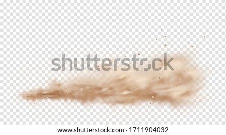 Road dust cloud with flying stones and particles isolated on transparent background. A cloud of dust sand flying from under the wheels of a fast-moving car or motorcycle. Realistic vector illustration