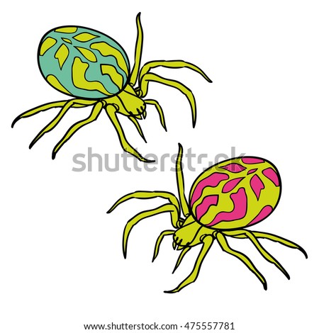 Two colored spider isolated on white background. Vector spiders 