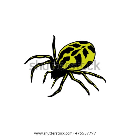 Spider two tone isolated on white background. Vector spider 