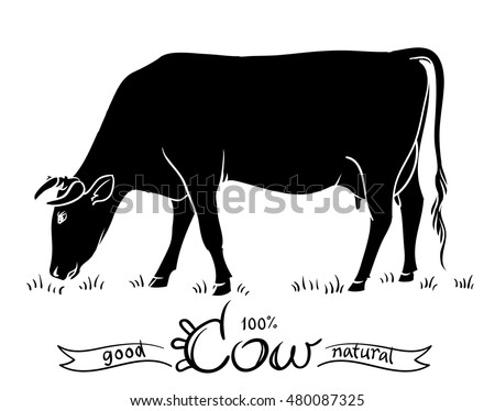 Download Awesome Cartoon Picture Of Cow Eating Grass - flower wallpaper