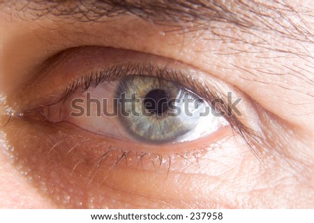 Micro-photography of an eye