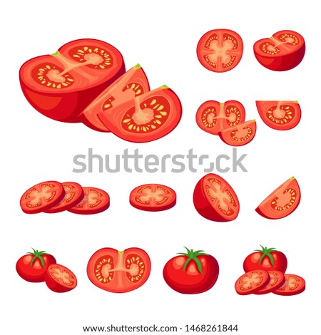 Collection of fresh cut red tomatoes vector illustrations. Half a tomato, a slice of tomato, cherry tomato. cartoon illusrearion isolated on white