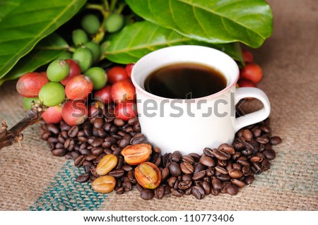 Close up of coffee and fresh raw coffee beans with leaf on texture background, selective focus.