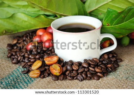 Close up of fresh raw coffee beans, coffee cup with leaf on texture background, selective focus.