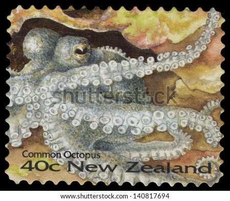 NEW ZEALAND - CIRCA 1996: A stamp printed by New Zealand, shows Seashore, common octopus, circa 1996