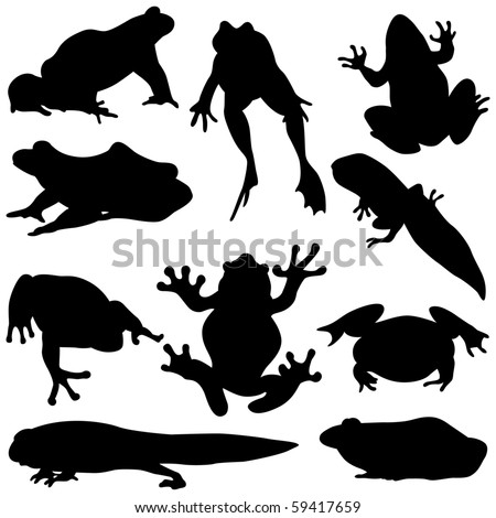 Frog Silhouettes Stock Vector Illustration 59417659 : Shutterstock