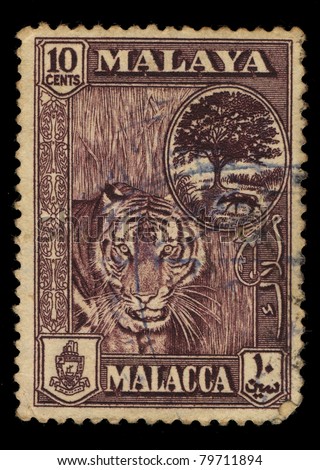 MALAYA - CIRCA 1946: A stamp printed in Malaya shows image of a tiger, series, circa 1946