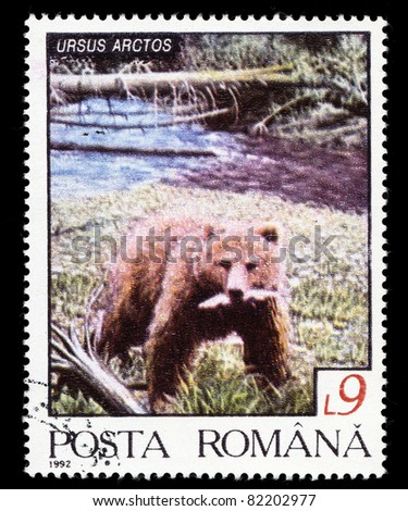 ROMANIA - CIRCA 1992: A stamp printed in Romania shows Brown Bear with Fish, circa 1992