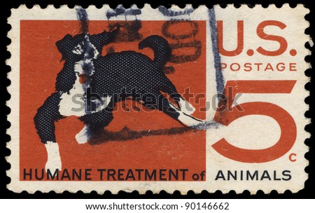 USA-CIRCA 1966: A stamp printed in USA shows Humane Treatment of Animals, Mongrel, circa 1966