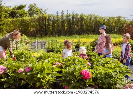 Similar – Foto Bild Frau wählt Pflanzen für den Garten auf dem Blumenmarkt