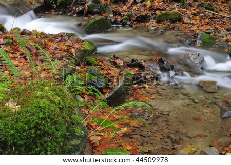 Mountain river is running down in autumnal forest