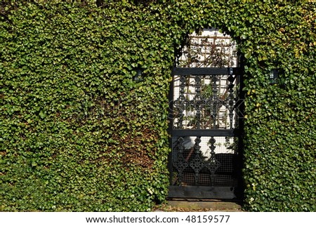 Green fence with gate
