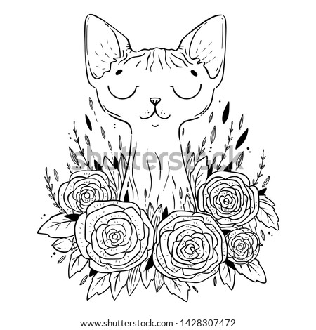 880 Hairless Cat Coloring Pages Download Free Images 880 Hairless Cat Coloring Pages Download Free Images