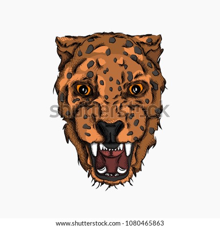 Portrait of a leopard. Can be used for printing on T-shirts, flyers and stuff. Vector illustration Stock foto © 