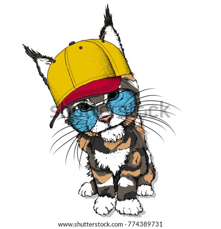 Portrait of a cat in a hat. Can be used for printing on T-shirts, flyers, etc. Vector illustration Stock foto © 