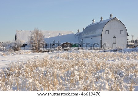 Historic Dairy Barn at Creamer\'s Field during Winter - Fairbanks, Alaska