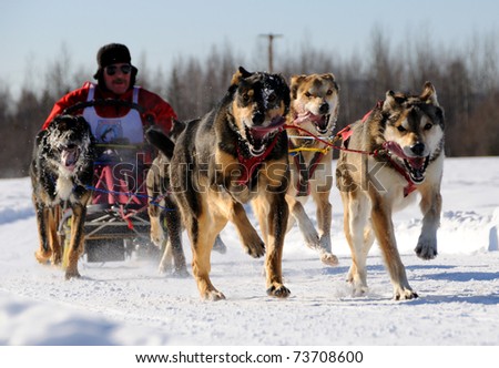 FAIRBANKS, AK - MARCH 13:  Roger Champagne races in the Limited North American Sled Dog Race on March 13, 2011 in Fairbanks, Alaska
