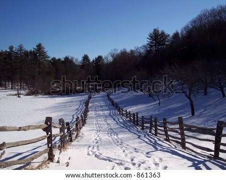 Farm lane in snow