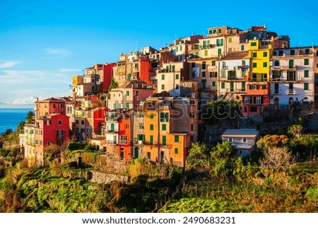 Similar – Image, Stock Photo CINQUE TERRE Nature