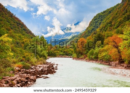 Similar – Image, Stock Photo Lake flowing near green trees