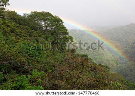 Tropical Rain Forest, Monteverde, Costa Rica, South America