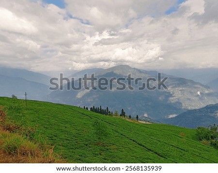 Similar – Image, Stock Photo Mountains and plantations against endless ocean in countryside