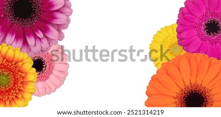 Similar – Image, Stock Photo Bouquet: gerbera and roses in yellow and pink in light blue watering can stands on stone floor