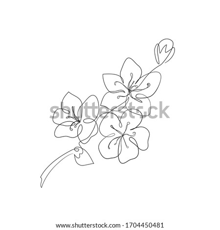 Apple Blossom Clipart At Getdrawings Free Download