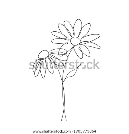 Daisies Flowers Drawing at GetDrawings